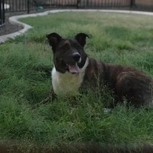 Meet your Posher, Hailey